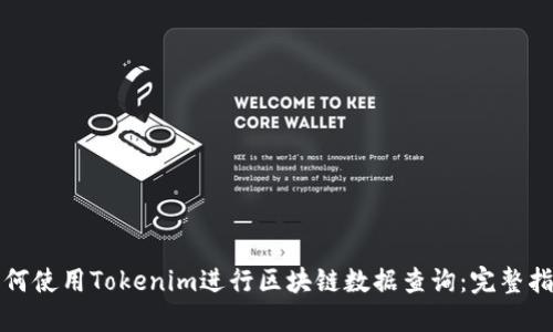 如何使用Tokenim进行区块链数据查询:完整指南