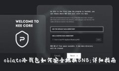 obiato冷钱包如何安全地换BNB：详细指南