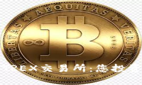 深入了解TREX交易所:您投资的新选择
