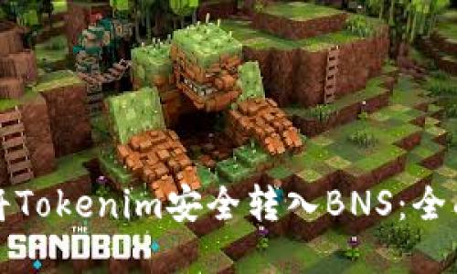 如何将Tokenim安全转入BNS:全面指南