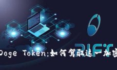 深入了解Doge Token：如何驾驭这一加密