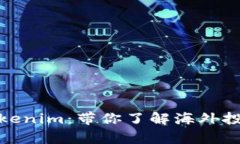全面解析Tokenim：带你了解海外投资的