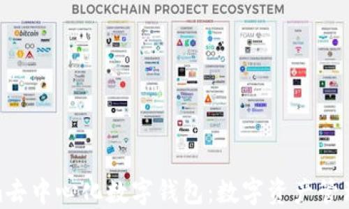 探索Tokenim去中心化数字钱包:数字资产管理的未来之路