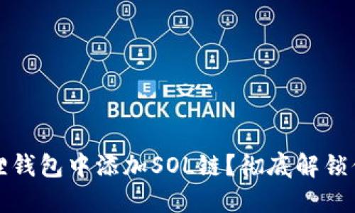 如何在小狐狸钱包中添加SOL链?彻底解锁你的加密资产