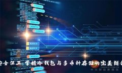 安全保卫：掌握冷钱包与多币种存储的