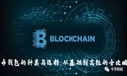 币钱包的种类与选择：从基础到高级的全攻略