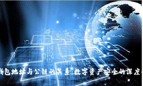 冷钱包地址与公链的关系:数字资产安全的深度解析