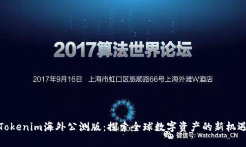 Tokenim海外公测版：探索全球数字资产的新机遇