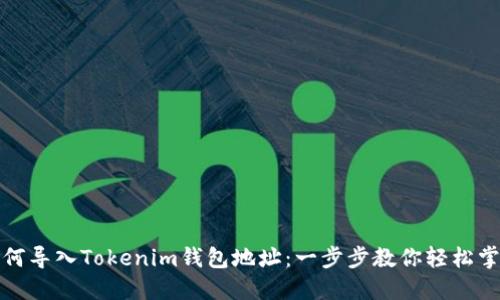 如何导入Tokenim钱包地址:一步步教你轻松掌握