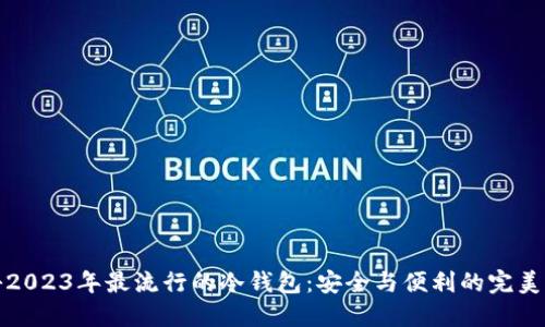 揭秘2023年最流行的冷钱包:安全与便利的完美平衡