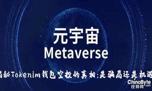揭秘Tokenim钱包空投的真相:是骗局还是机遇?