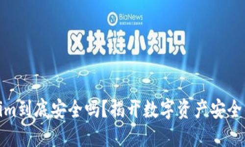 Tokenim到底安全吗？揭开数字资产安全的面纱