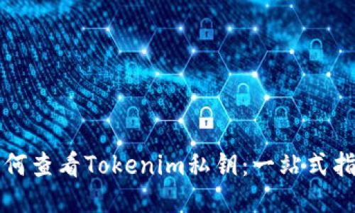 如何查看Tokenim私钥:一站式指南