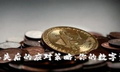 imotken冷钱包丢失后的应对策略：你的