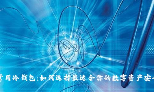 国外常用冷钱包:如何选择最适合你的数字资产安全方案