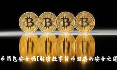 币钱包安全吗？解密数字货币储存的安