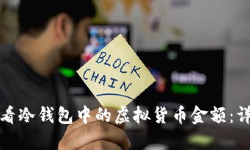 如何查看冷钱包中的虚拟货币金额：详细指南