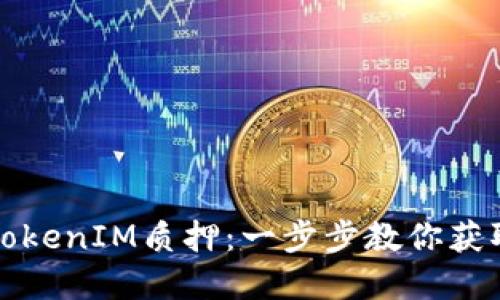 如何进行TokenIM质押:一步步教你获取投资收益