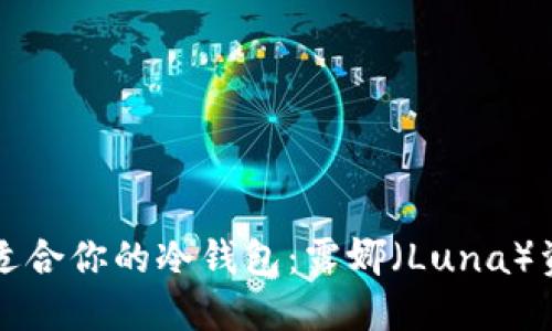 如何选择最适合你的冷钱包：露娜（Luna）资产安全指南
