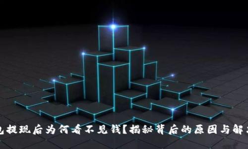 冷钱包提现后为何看不见钱?揭秘背后的原因与解决方案