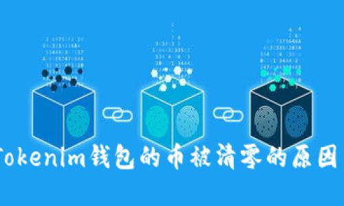 深入探讨:Tokenim钱包的币被清零的原因与防范措施