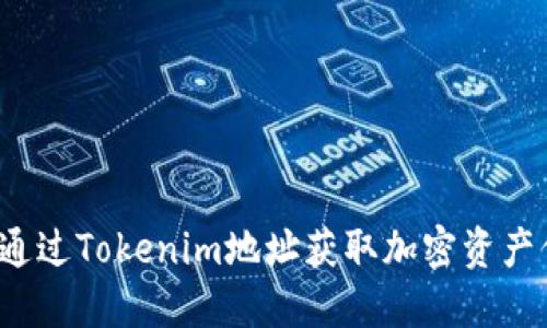 如何通过Tokenim地址获取加密资产信息?