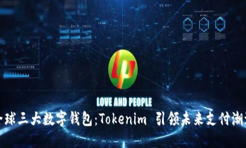 全球三大数字钱包：Tokenim 引领未来支付潮流