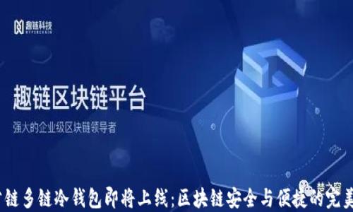 dfc公链多链冷钱包即将上线:区块链安全与便捷的完美结合