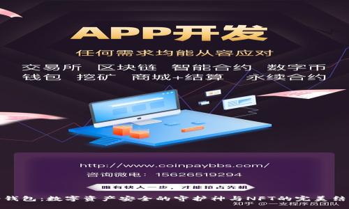 冷钱包:数字资产安全的守护神与NFT的完美结合