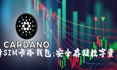 为什么选择SIM卡冷钱包:安全存储数字资产的新选择