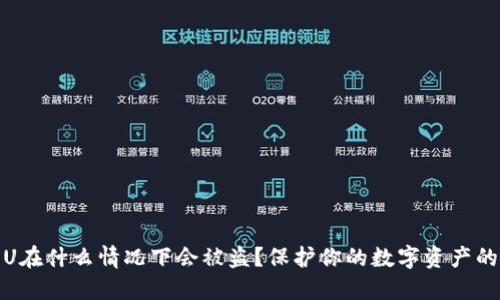 冷钱包的U在什么情况下会被盗?保护你的数字资产的最佳策略