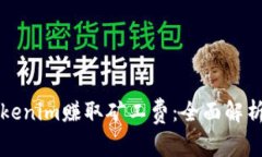 如何通过Tokenim赚取矿工费：全面解析