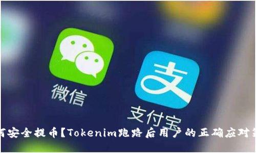 如何安全提币？Tokenim跑路后用户的正确应对策略