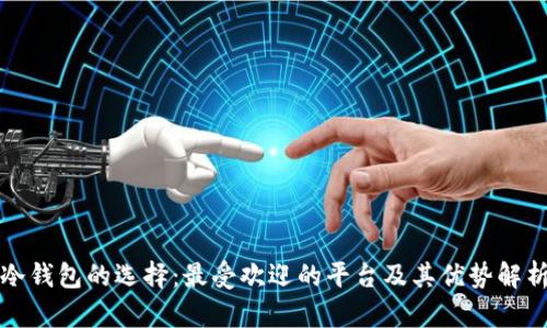 冷钱包的选择：最受欢迎的平台及其优势解析