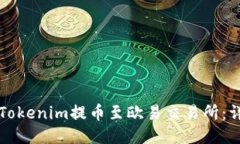 如何将Tokenim提币至欧易交易所：详细指南