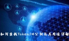 如何查找TokenIM公钥及其用途详解