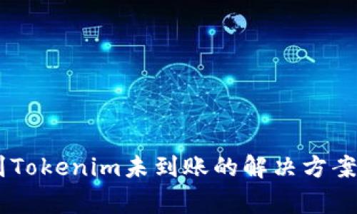 SHIB转账到Tokenim未到账的解决方案与注意事项