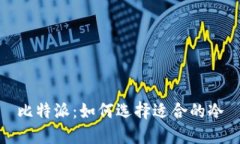 比特派：如何选择适合的冷